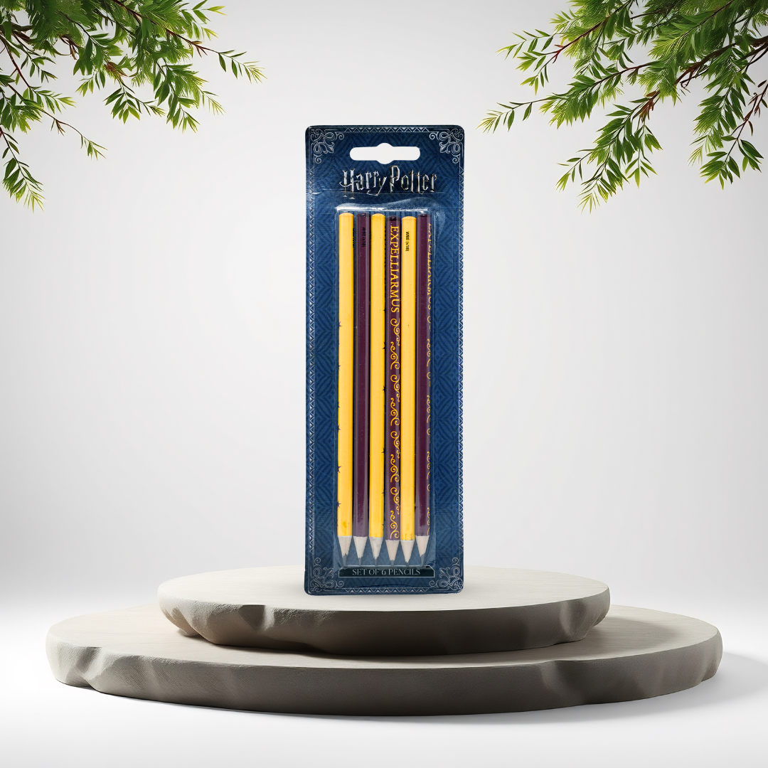 Wizard Lunch & Hydration Bundle + FREE Harry Potter Pencil Set