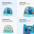 Finding Dory Globe
