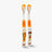 Garfield & Odie Kids Toothbrush Set