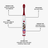 One Direction Musical Singing Toothbrush – Live While We're Young
